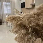 Сasa de vacaciones Casa Pati