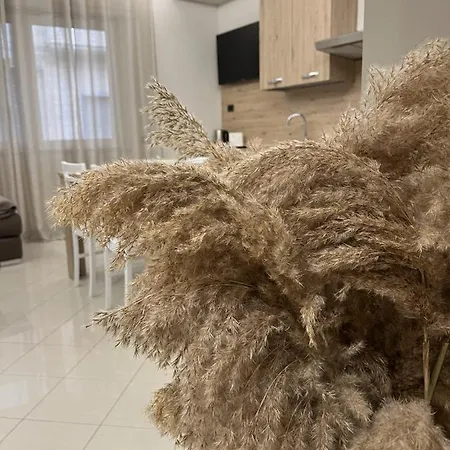 Vakantiehuis Casa Pati