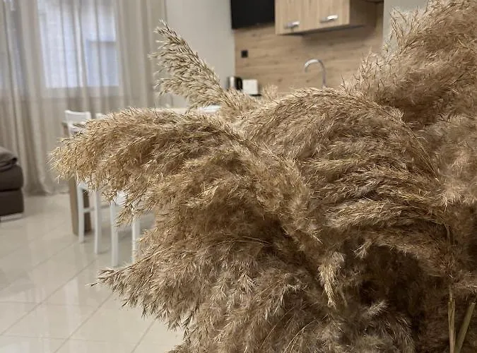 Ferienhaus Casa Pati